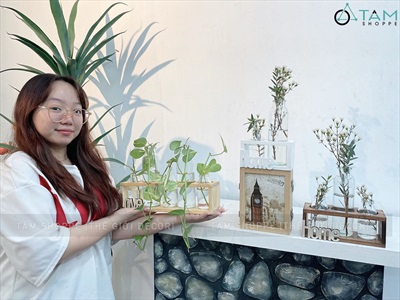 Bộ khung gỗ chữ nhật kèm lọ thuỷ tinh cắm hoa thuỷ canh [3 màu - 3 size] BINHLOHOA-05